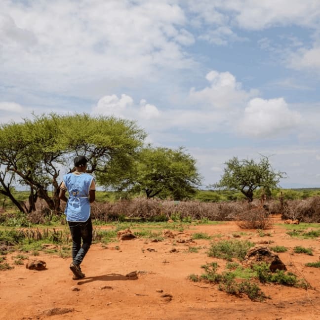 Lenguruma Kenya